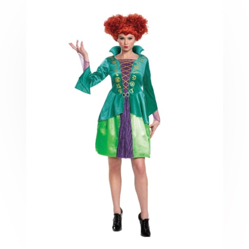 Hocus Pocus Disguise Wini classic womens Halloween Costume  adult Large (12-14)